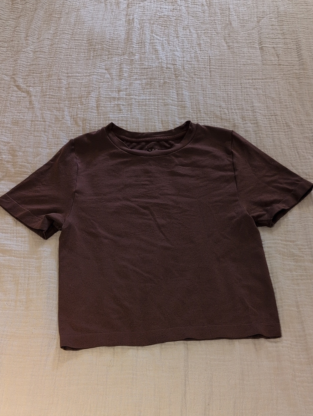 Short Sleeve Crewneck Top in Chocolate Brown